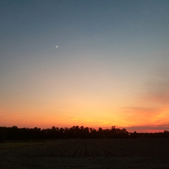 Meet your Posher, Morrigan - Picture 1 of 1